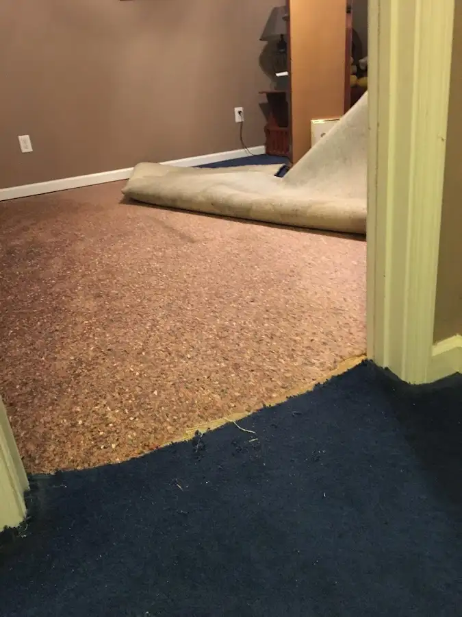 Carpet pad removal revealing water damage during Drying & Dehumidification in Greencastle