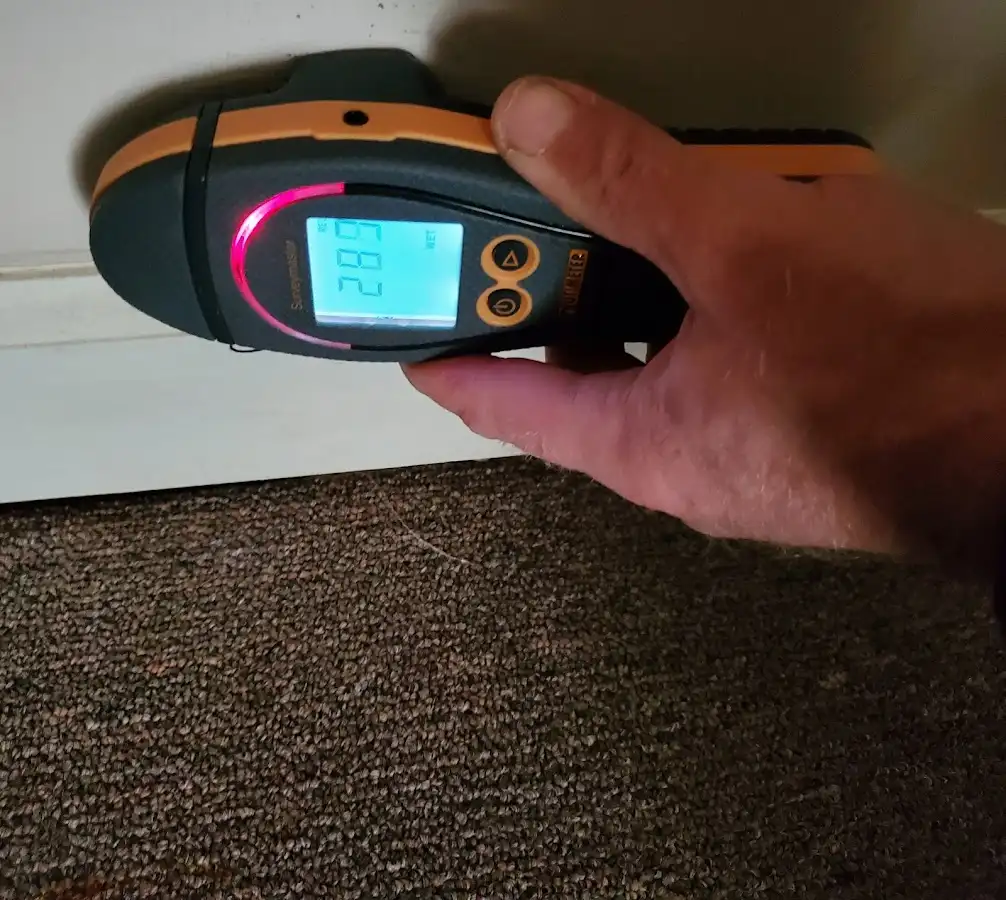 Moisture detection at baseboard during Mold Inspection & Testing in Greencastle